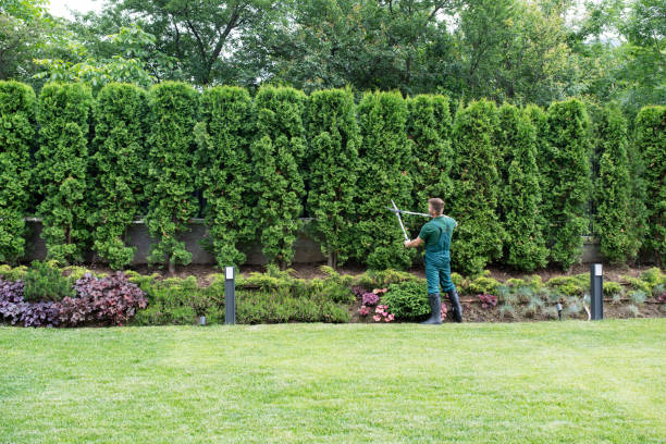 Best Tree and Shrub Care  in Ruskin, FL